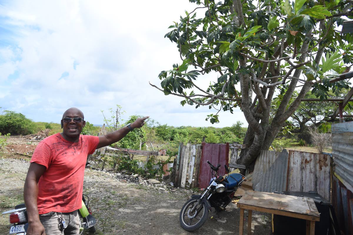 
Carlton ‘Buggy’ Watson, another resident, claimed to have planted breadfruit trees on the land and said he had occupied it for more than two decades. 