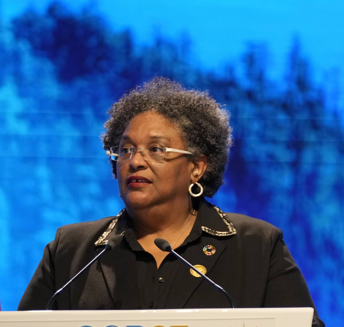 Barbados’ prime minister, Mia Mottley, estimated that across the Caribbean, including the Dominican Republic and Puerto Rico, these platforms earned US$11.6 billion a year.