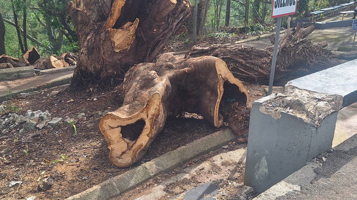 The Seat of the Scornful, which was damaged during the passage of Hurricane Melissa.
