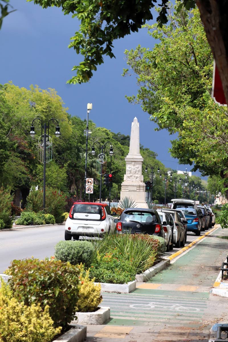 Tree-lined streets of Merida, Mexico.