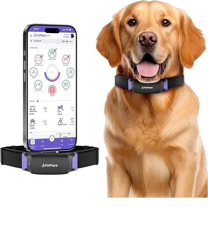Petpace