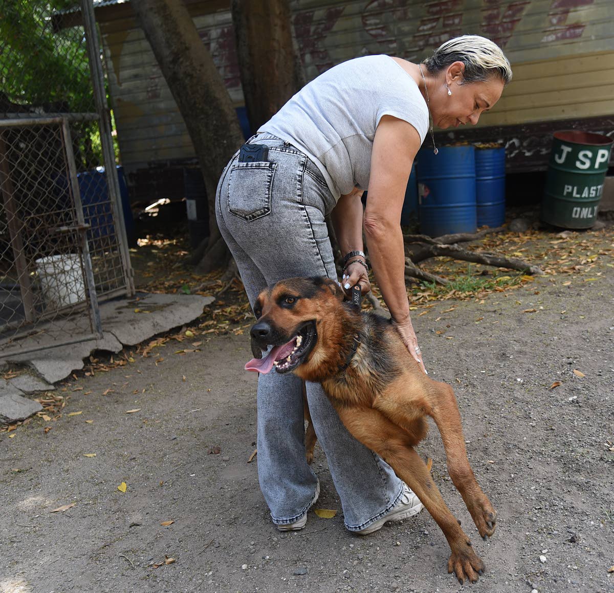 
Pamela Lawson, managing director of the Jamaica Society for the Prevention of Cruelty to Animals, shares a playful moment with a dog at one of the organisation’s facilities.