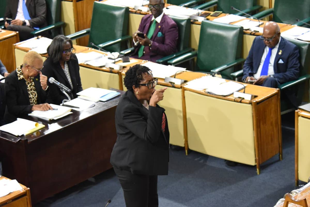 Andrew South West Member of Parliament Dr Angela Brown Burke at a sitting of the House of Representatives on December 8, 2025.