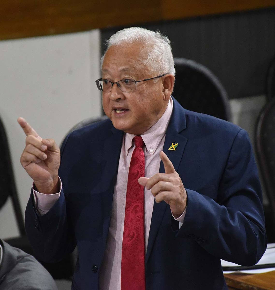 
Delroy Chuck, minister of justice and constitutional affairs, notes that in the event of the death of the witnesses to a will – or if they can no longer be located – a will should be rewritten.