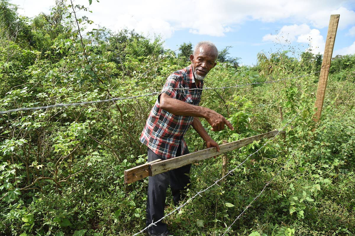 Sixty-eight-year-old Willie Rowe points to a section of land that he bought from the National Housing Trust and is now fenced off by another state entity.
