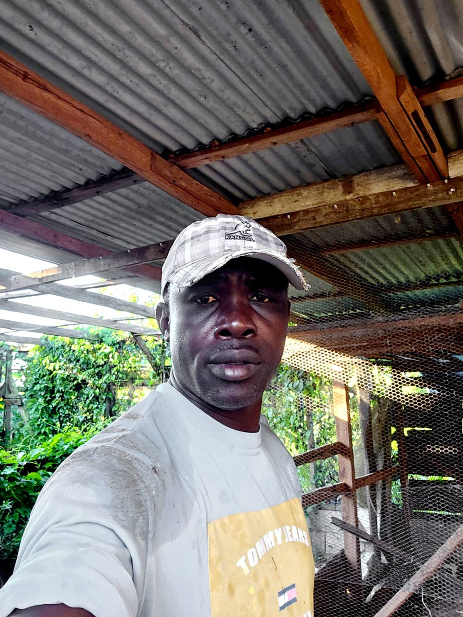 Farmer and president of the Bog Hole branch of the Jamaica Agricultural Society, Leroy Reid.