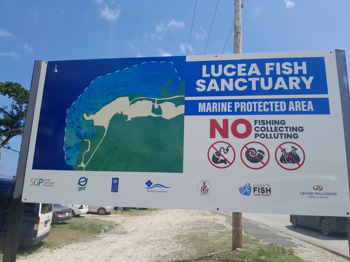 Lucea Fish Sanctuary sign.