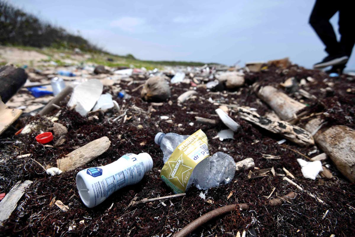 Dr Theresa Rodriguez-Moodie: Tackling marine litter at the scale and complexity of this challenge requires coordination, resources and systems that connect local knowledge and community action with national planning, policy and enforcement.