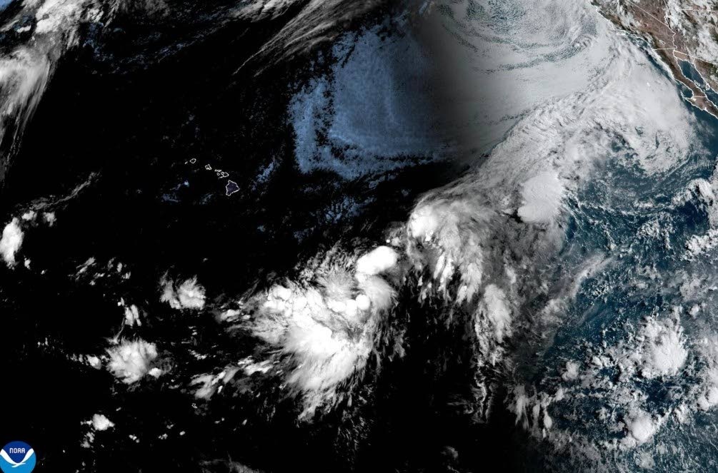 This NOAA satellite image taken at 11:38 a.m. EST on Wednesday, August 12, 2026, shows a Potential Tropical Cyclone One- C, about 1,000-miles east-southeast of the Hawaiian Islands. (NOAA via AP)