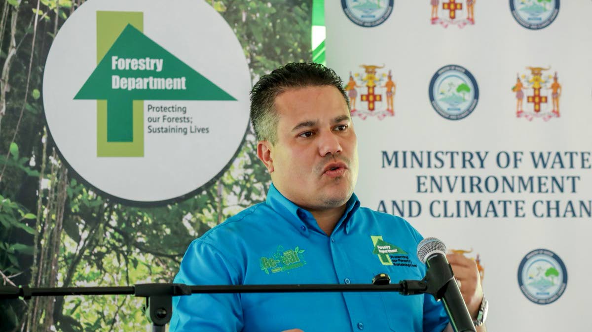 Matthew Samuda, minister of water, environment and climate change. 