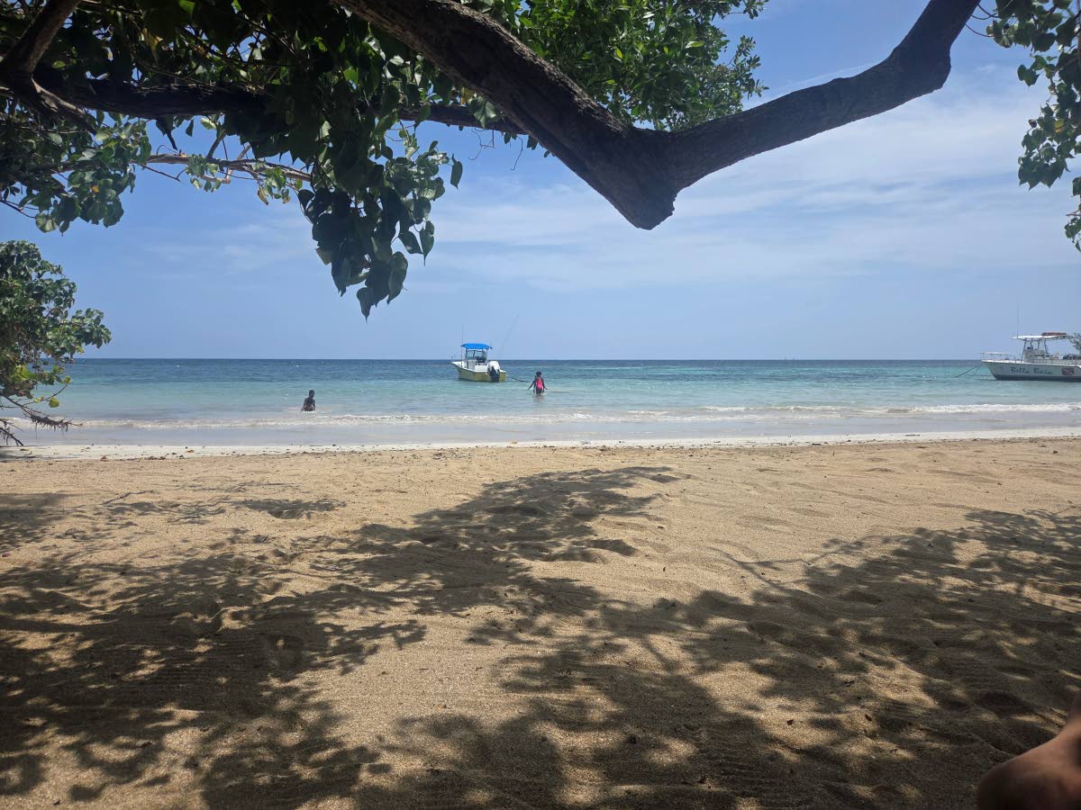 
Sunny day and cool shade – photo taken in Ocho Rios.