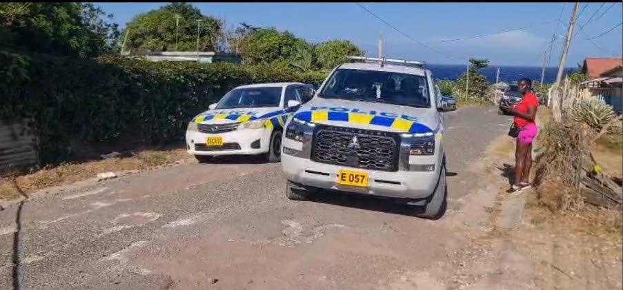 Police vehicles on the scene of yesterday’s triple murder in St Mary. 