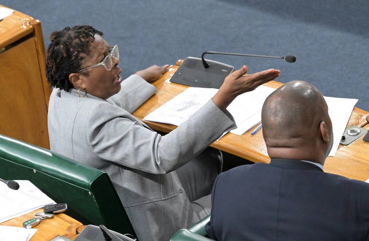 Angela Brown-Burke, deputy leader of Opposition business in the House of Representatives. 