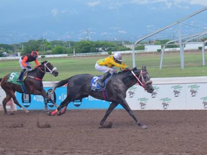 Anthony Minott/Freelance Photographer 
RIDEALLDAY, ridden by veteran jockey Ian Spence, wins its sixth race in seven starts ahead of MONEY MARKET (Dane Dawkins) over five-and-a-half furlongs at Caymanas Park yesterday.