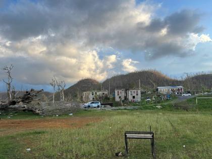 Ravaged trees as far as the eye can see. The view from the playing field at the Cornwall Mountain Infant School, one of two stops the team made on their visit.