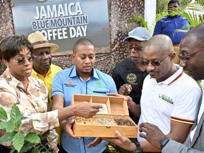 Examining coffee seeds (from left) are Juliet Holness, member of parliament for St Andrew East Rural and Speaker of the House of Representatives; Dr Norman Grant, chairman of the Jamaica Coffee Exporters Association; Floyd Green, minister of agriculture, f