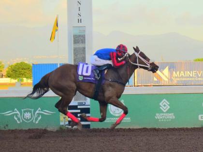 SHE’S THAT GIRL, ridden by Tajah Suckoo, wins the Omar Walker Trophy over 5 1/2 Furlongs at Caymanas Park on Sunday, March 1.