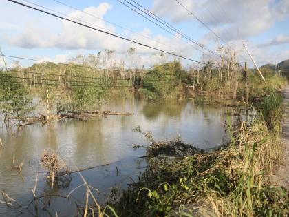 Flooded farmland in Bog Hole, Clarendon, following the passage of Hurricane Melissa.