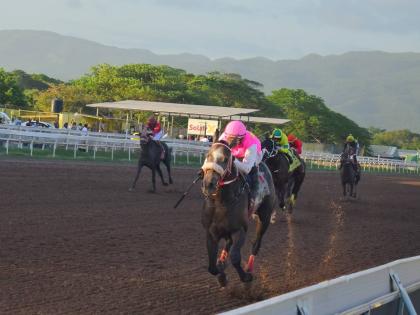Rideallday looks a shoo-in for Saturday’s $10 million Diamond Mile. 