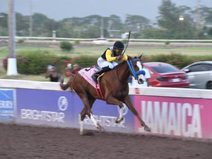 WE JAMMIN, ridden by Reyan Lewis, wins the 100th running of the Jamaica St Leger over 10 furlongs at Caymanas Park on July 5.