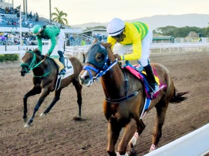 COMMANDER Z (right), ridden by veteran jockey Ian Spence, and running at odds of 11-1, wins the fourth running of KAZ HOSHAY Trophy ahead of I DREAM AGAIN (Robert Halledeen) over five and a half furlongs at Caymanas Park on Saturday, August 8.