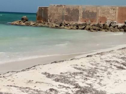 The Jacob Taylor Beach in Trelawny