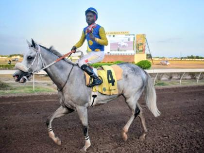 MOJITO, with Tajay Suckoo aboard, walks to the winner’s enclosure after capturing  the 22nd running of the Arthur Jones Memorial Trophy over six furlongs at Caymanas Park yesterday.