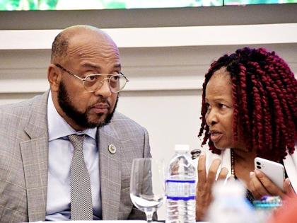 Dr Marva Hewitt (left), chief executive officer and managing director of the Food Hygiene Bureau, makes a point to Mayor of St Ann’s Bay Michael Belnavis during Tuesday’s launch of the 10th International Conference on Food Security and Sovereignty at S