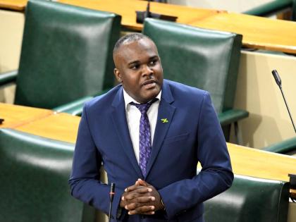 Government Senator Abka Fitz-Henley 