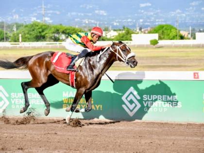 
BARNABY, ridden by Raddesh Roman, runs away with the Distinctly Irish Trophy over nine furlongs and 25 yards at Caymanas Park yesterday.