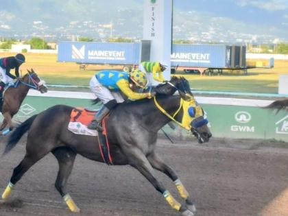 
LOCKDOWN (right), running at long odds of 75-1 and ridden by Paul Francis, wins the Nigel B Nunes Memorial Cup over five furlongs straight ahead of JOHN CROW JEFF (Jaheim Anderson) at Caymanas Park yesterday.