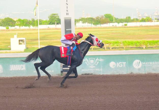 SUPERNATURAL POWER, ridden by Raddesh Roman, wins The Thunderbird Trophy over seven furlongs at Caymanas Park on Saturday, September 13.
