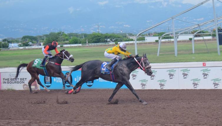 Anthony Minott/Freelance Photographer 
RIDEALLDAY, ridden by veteran jockey Ian Spence, wins its sixth race in seven starts ahead of MONEY MARKET (Dane Dawkins) over five-and-a-half furlongs at Caymanas Park yesterday.