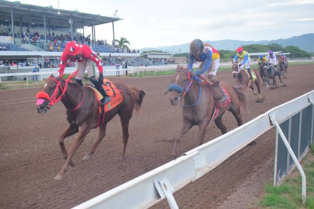 
MISS MONEYPENNY (left), ridden by Dane Dawkins, wins the Ronron Trophy, a six furlong event, with LOCKDOWN chasing against the rail at Caymanas Park yesterday.