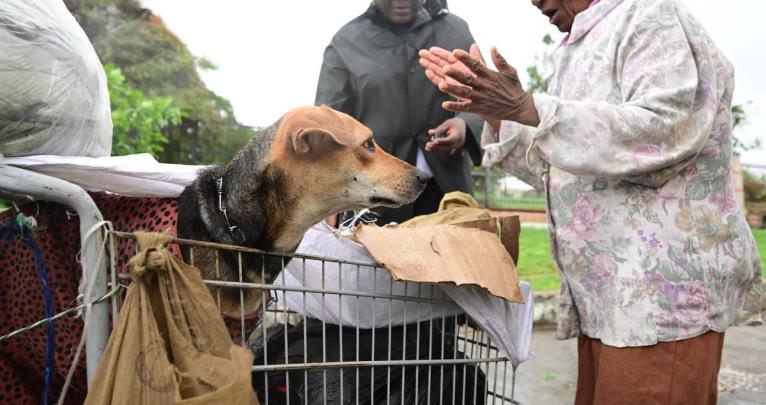 An elderly woman was seen sheltering beneath the eave of a business place along East Street in Kingston during the passage of Hurricane Melissa. ‘Empress’, as she introduced herself, said she was barred from entering a shelter with her dog. Instead of 