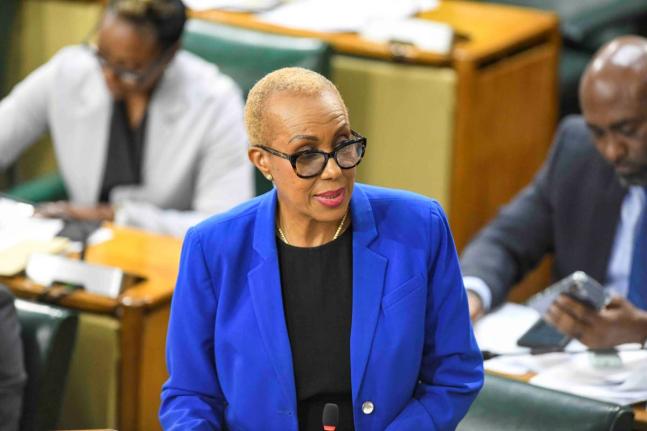 Fayval Williams, minister of finance and the public service, addresses the House of Representatives yesterday. 