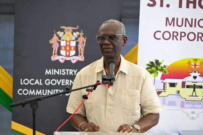 Minister of Local Government and Community Development, Desmond McKenzie.