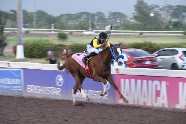 WE JAMMIN, ridden by Reyan Lewis, wins the 100th running of the Jamaica St Leger over 10 furlongs at Caymanas Park on July 5.