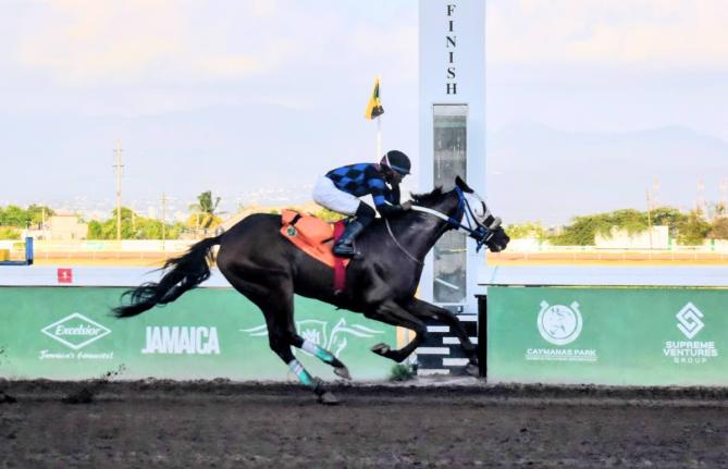 
WHIZZ KID, running at long odds at 23-1 and ridden by Richie Shakes, wins the O&S Tack Room Trophy over a mile at Caymanas Park yesterday.