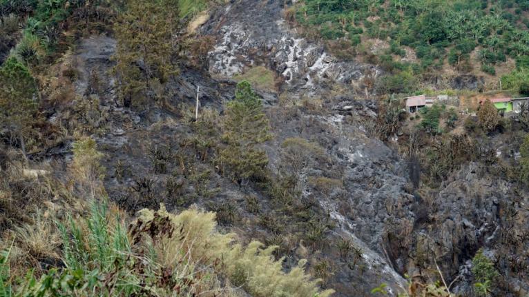 A fire, believed to have started in the early hours of August 26, escaped control and spread rapidly through the Westphalia regions in the Blue Mountains, a major coffee-producing area, which resulted in significant damage to farms, crops and properties. -