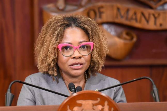Information Minister Dr Dana Morris Dixon. - File photo