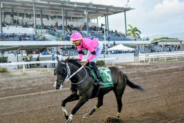 USA-bred horse PRINCE’S SPUR, ridden by Raddesh Roman, wins the Typewriter Trophy over 7 1/2 furlongs at Caymanas Park Sunday, September 27.