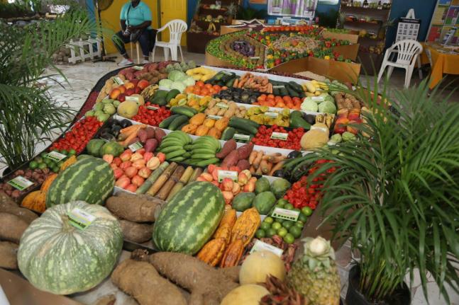 Agricultural produce on display at a farm show.