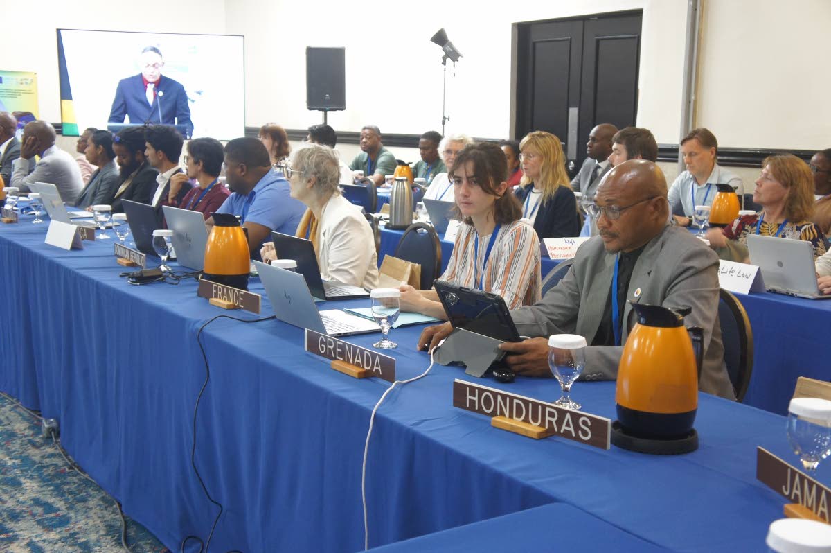 A section of delegates at COP18.