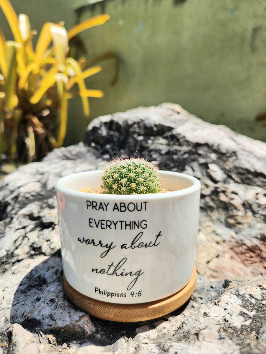 These plant pots, with their uplifting messages, are at the heart of Williams-Lue’s life-changing initiative.