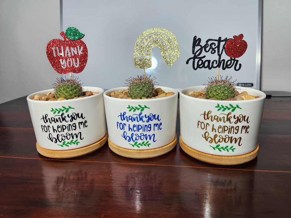 Cacti make great gifts because they’re low-maintenance and can help freshen your space.