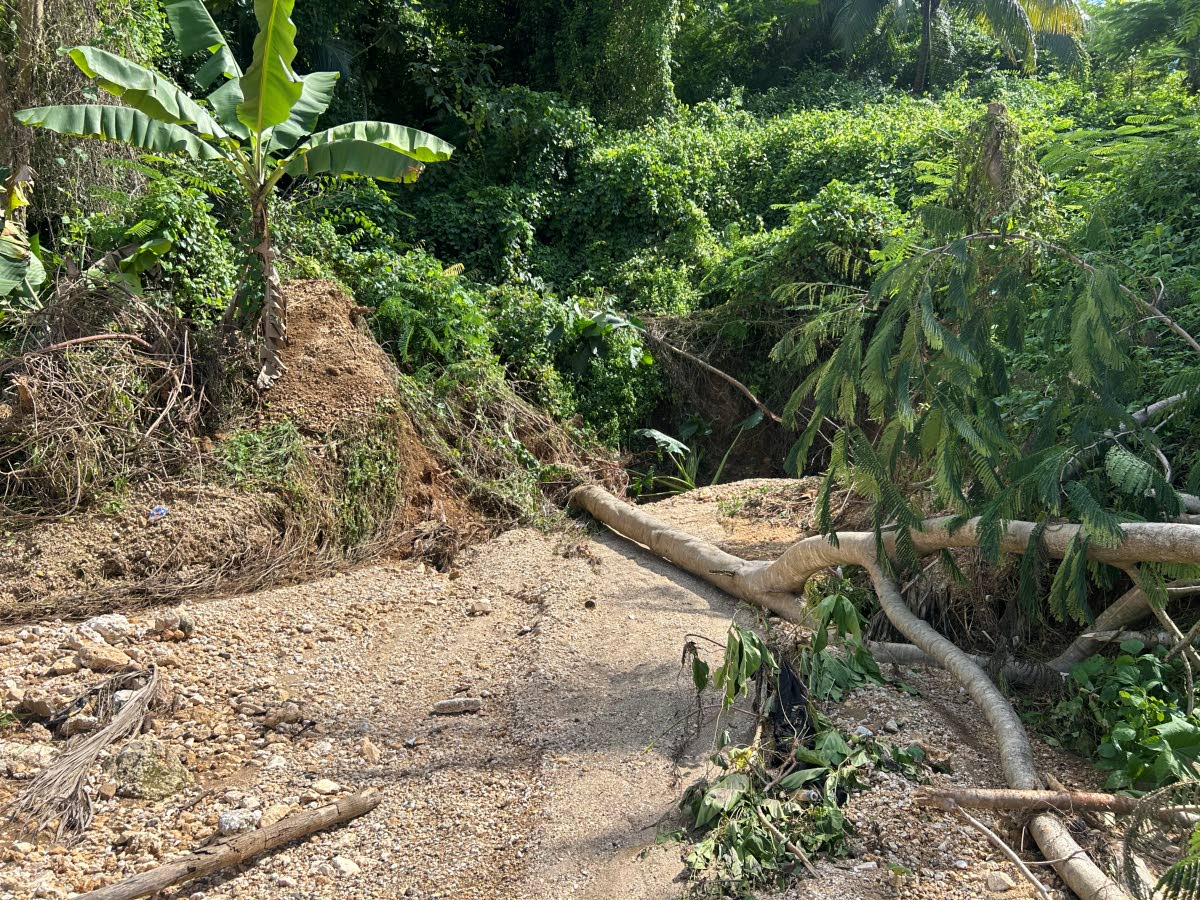 
The passage where dirt and debris rush down during heavy rain; no retention wall in sight, as Hayles clarified.