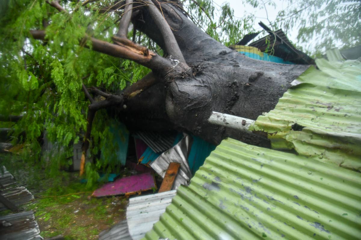 One of three homes that suffered major structural damage from the capsizing of a tree on Walker’s Avenue in Portmore, St Catherine. One person was reportedly injured in the incident that occurred during the passage of Hurricane Melissa. 