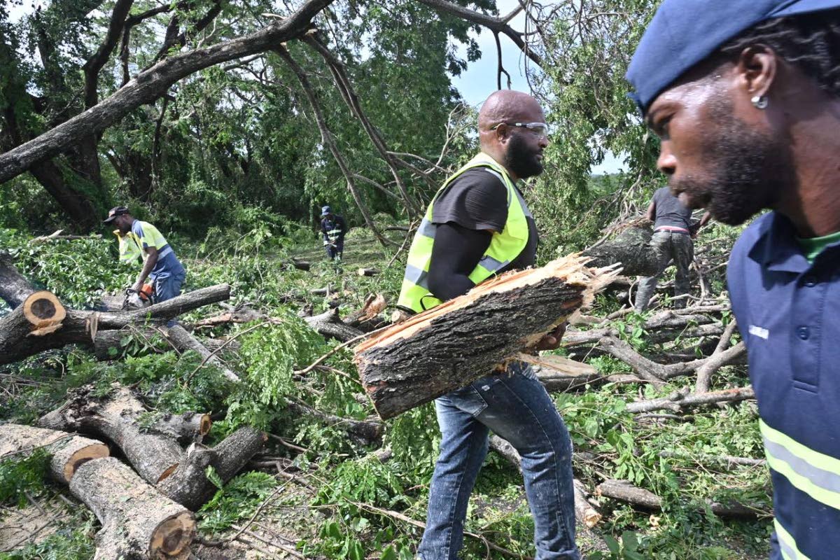 A  work crew clearing downed trees and other debris from a section of the Mandela Highway in St Catherine on October 29, following the passage of Hurricane Melissa the day before. 