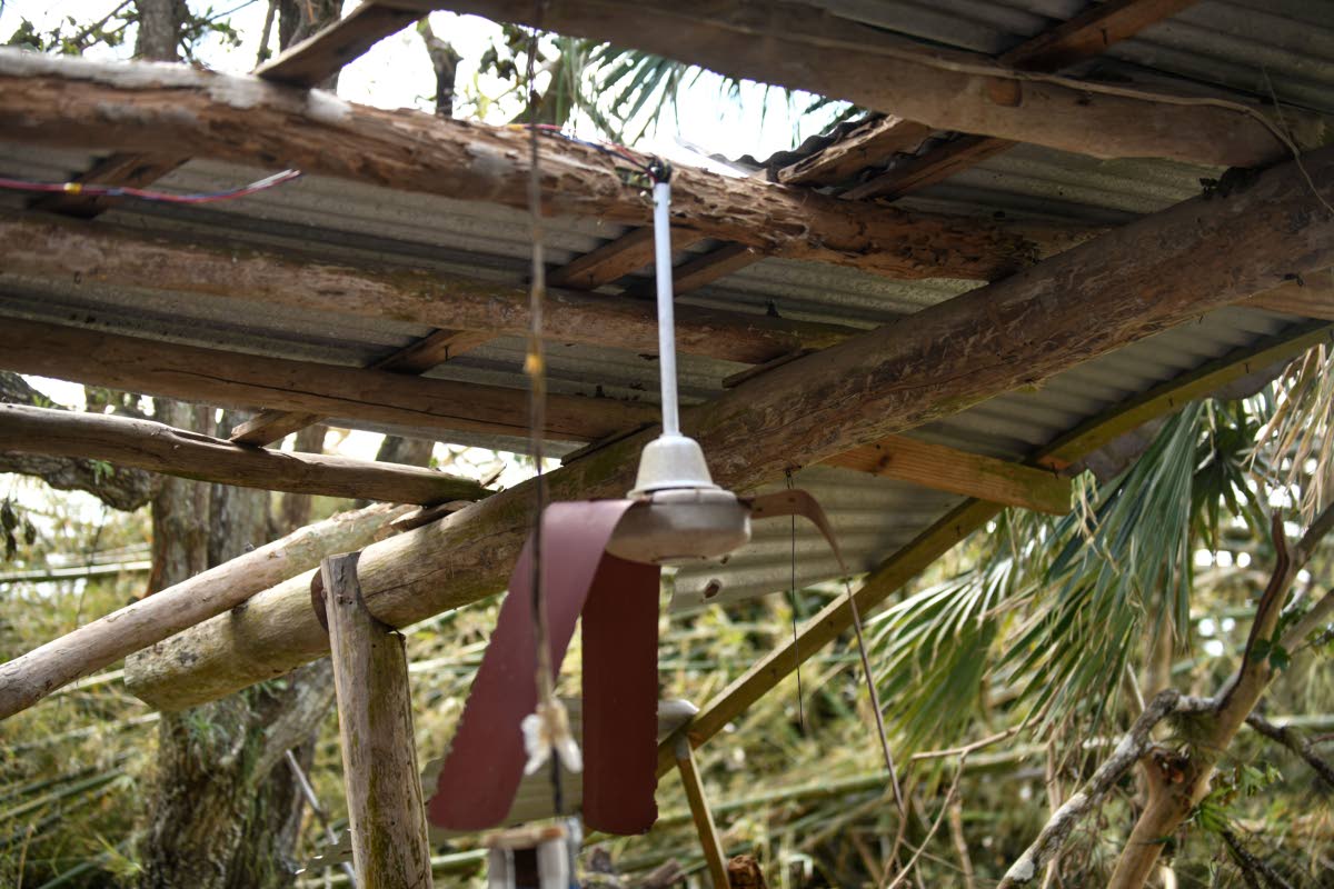 Sections of the roof were displaced at the back of the exterior area of the studio.